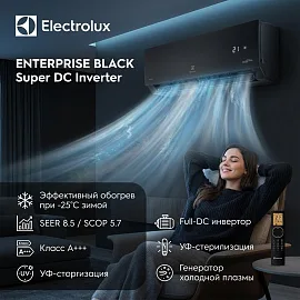 Electrolux EACS/I-09HEN-BLACK/N8_24Y серии ENTERPRISE BLACK